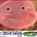 রোবটে এবার ‘জীবন্ত  হাসতেও সক্ষম।