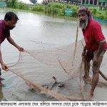 ডুমুরিয়ায় ঘের তলিয়ে গলদার ঘেরে ঢুকে পড়েছে আফ্রিকান রাক্ষুসে মাগুর।