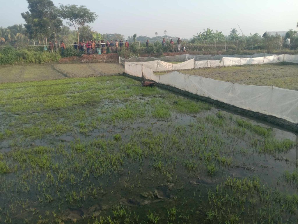 ডুমুরিয়ায় যুবকের মরদেহ উদ্ধার।