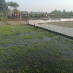 ডুমুরিয়ায় যুবকের মরদেহ উদ্ধার।