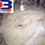হুগলি হলদি নদীর মোহনায় , মৎস্যজীবীদের জালে ধরা পড়লো ২০০ কেজি ওজনের সংকর মাছ।