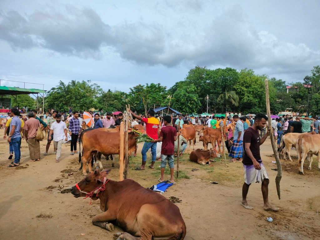 বান্দরবানে জমজমাট গরু-ছাগলের হাট।