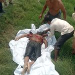 পাইকগাছায় পুলিশ কর্মকর্তার মা’কে কুপিয়ে ও গলাকেটে হত্যা