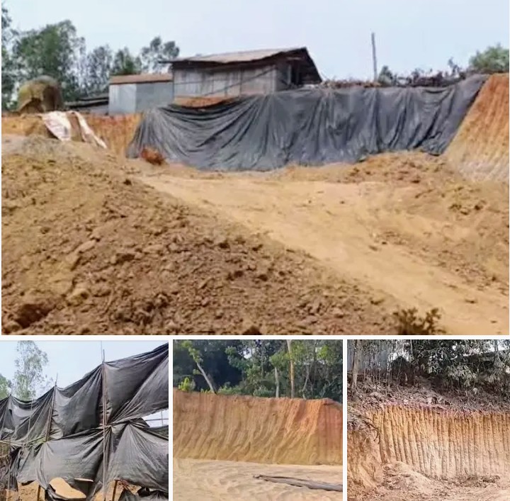 লোহাগাড়ার চুনতিতে সংরক্ষিত বনভূমি দখল ও  লুটপাটের মহোৎসব চলছে।