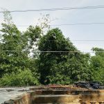 দামুড়হুদায় সাংবাদিক নাছিমের বাড়ির ছাদ ছুঁইছুঁই পল্লী বিদ্যুতের লাইন: যেকোনো সময় বড় দুর্ঘটনার আশঙ্কজনক