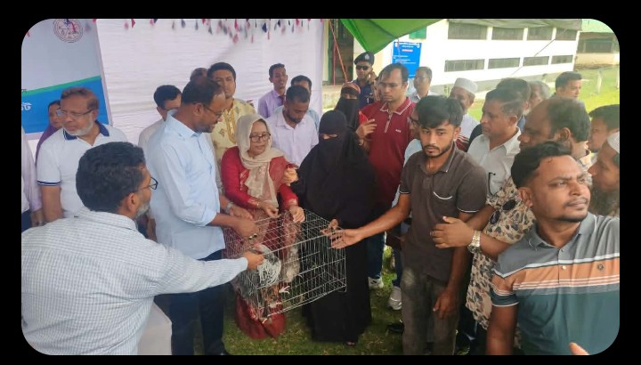 নাইক্ষ্যংছড়ি গয়াল গবেষণা কেন্দ্রে খামারিদের মাঝে ছাগল-মুরগি বিতরণ প্রাণিসম্পদ গবেষণায় শহীদ জিয়ার অবদান স্মরণ, উন্নয়নে সরকারের অঙ্গীকার পুনর্ব্যক্ত