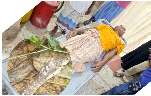 লোহাগাড়ায় সাপের কামড়ে প্রান গেল যুবকের!