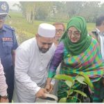 কিশোরগঞ্জে ৩ লাখ বৃক্ষরোপন উদ্বোধন করলেন এমপি